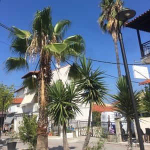 Meet your Posher, Ana